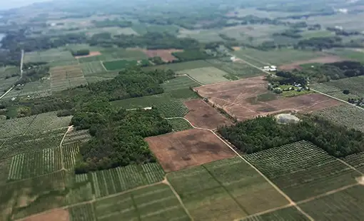 Hiranandani Bungalows Alibaug Images