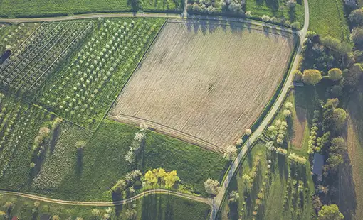 Hiranandani Plots Alibag Images