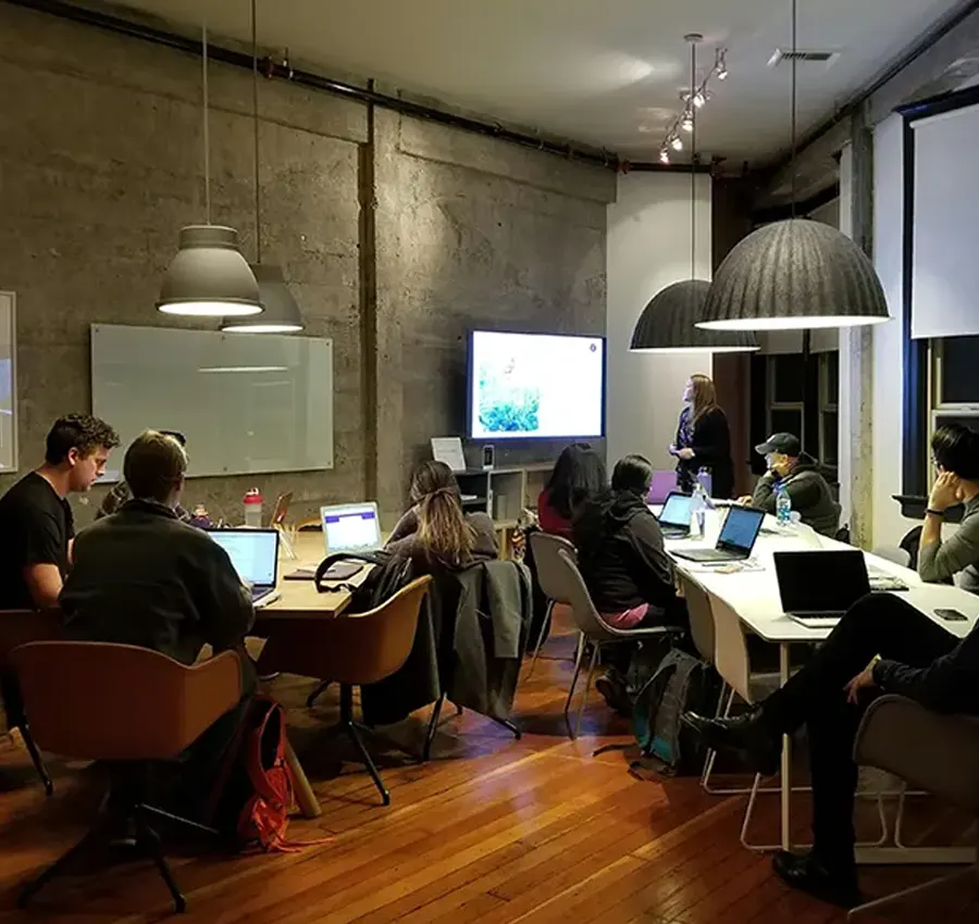 Flora Group Santacruz