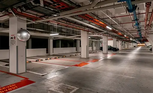 Flora Santacruz East Images