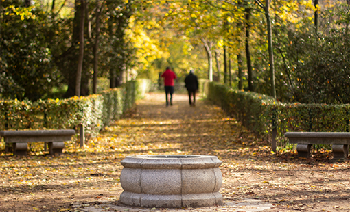 Abhinandan Naigaon Images