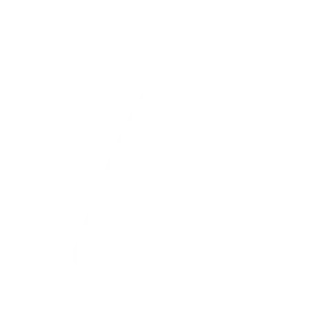 Narayani Dham Bhadwad