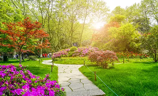 Mumbai Park West Images