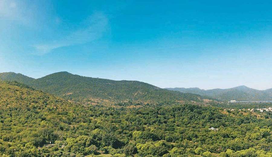 Raunak Bliss Bonus City