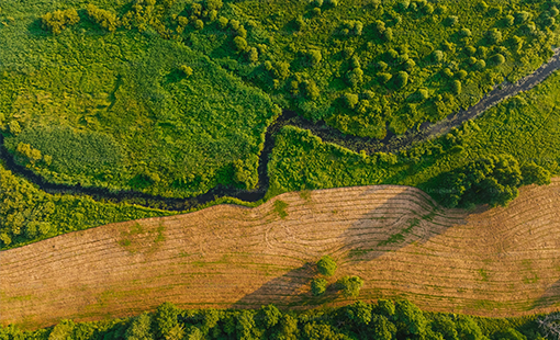 Runwal Villas Dombivli Images