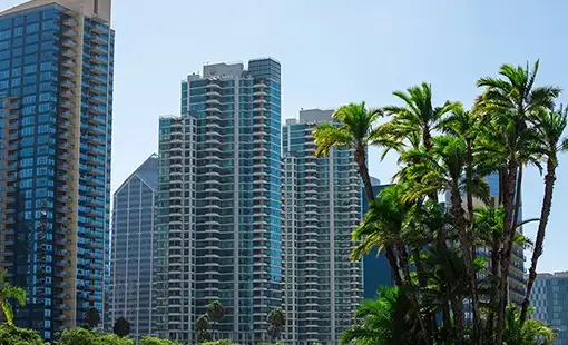 Coral Belapur Images
