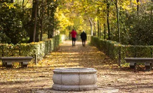 Seasons Group Kalyan West Images